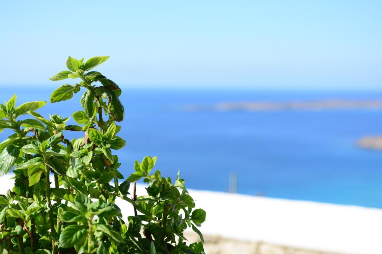 Anemolia Villa Lakki  Exteriör bild